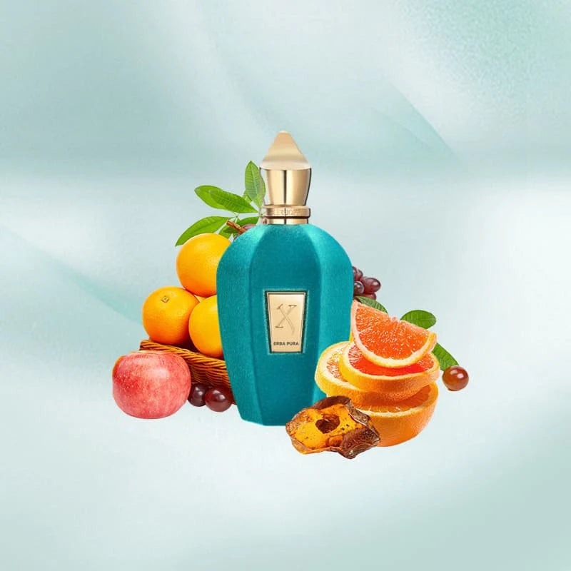 XERJOFF EBRA PURA EDP