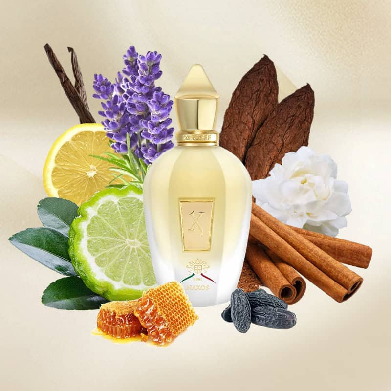 XERJOFF 1861 NAXOS EDP